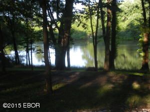 000 Brian 23, Murphysboro, IL 62966